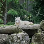 Premium In With Garden
