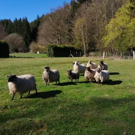 Premium In With Garden Appartement *