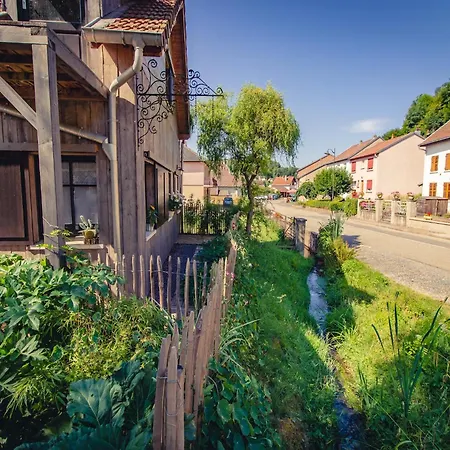 Premium In With Garden Appartement