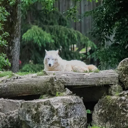 Premium In With Garden