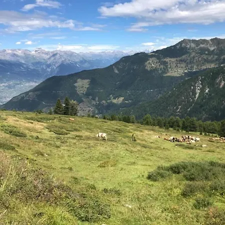 Premium In With Garden Daire Saint-Quirin