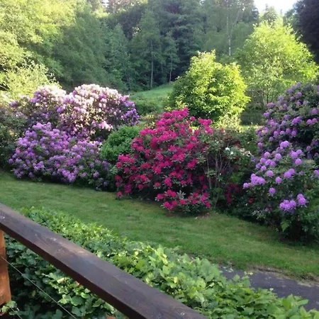 Premium In With Garden דירה Saint-Quirin