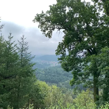 Premium In With Garden