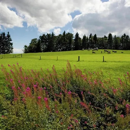 Premium In With Garden Daire Saint-Quirin