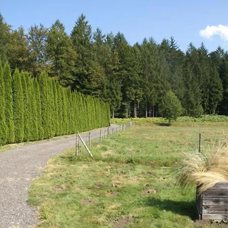 Premium In With Garden