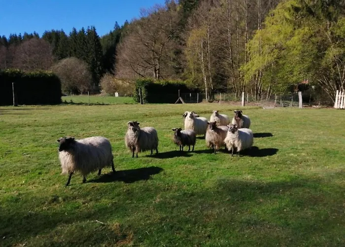 Premium In With Garden 아파트 *