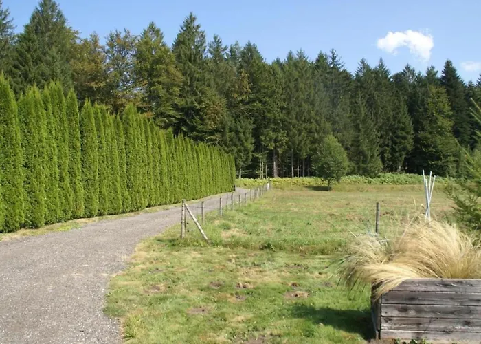 Premium In With Garden