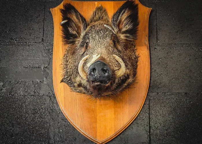 Premium In With Garden Apartmán