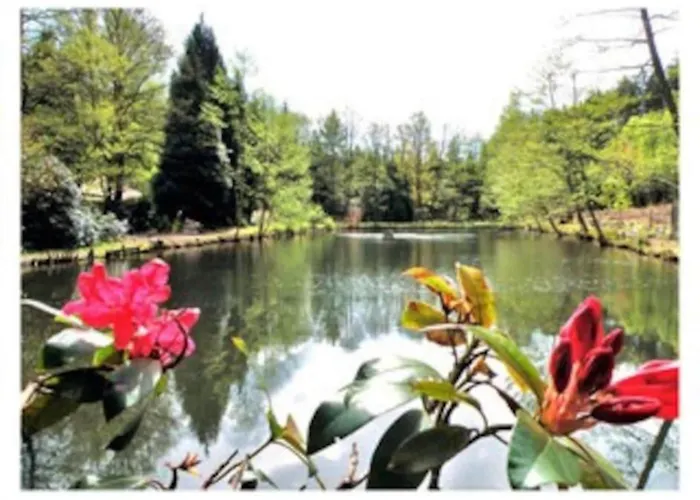 Premium In With Garden Saint-Quirin