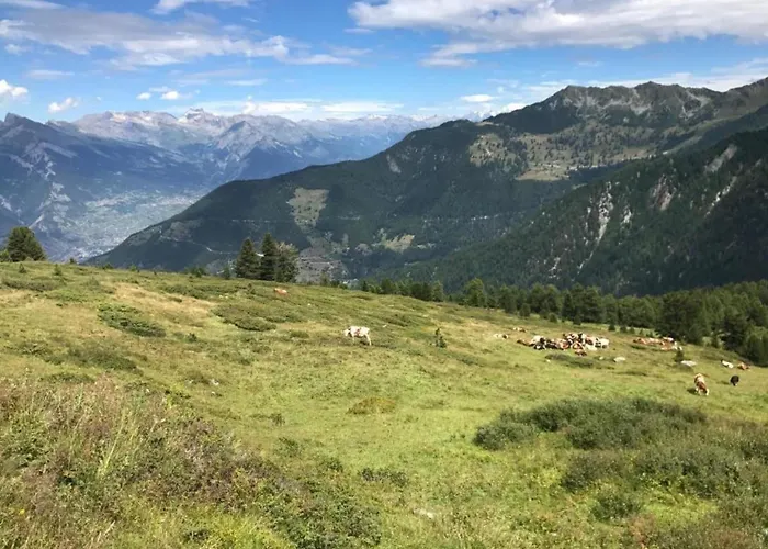 Premium In With Garden Apartmán Saint-Quirin