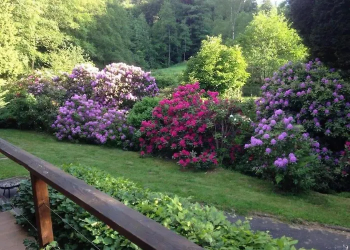 Premium In With Garden 아파트 Saint-Quirin