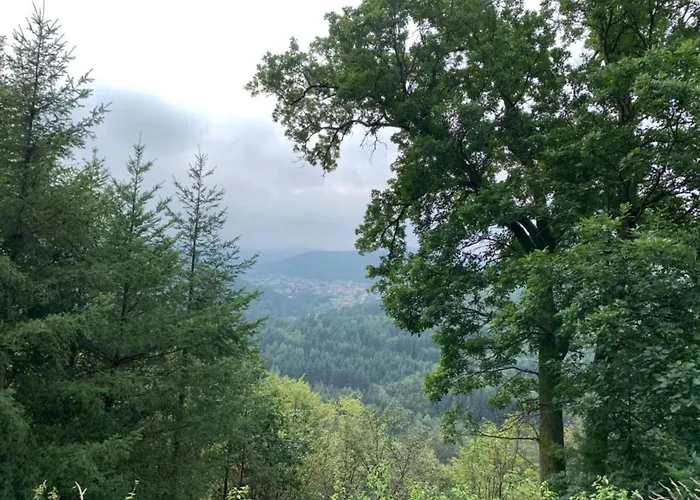 Premium In With Garden