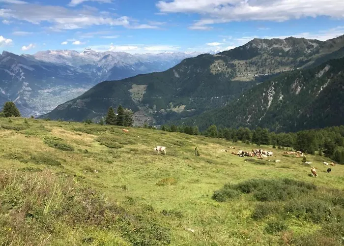 Premium In With Garden Apartmán