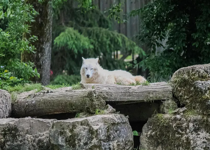 Premium In With Garden * Saint-Quirin