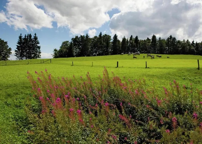 Premium In With Garden Apartmán Saint-Quirin